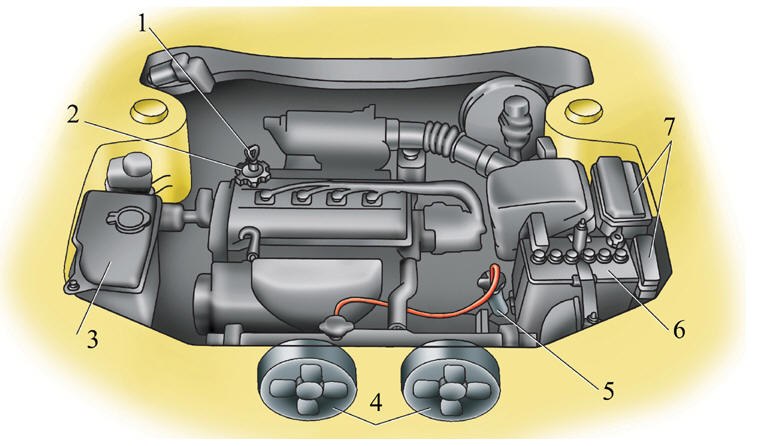 Вид моторного отсека (для двигателей 4Е-FE)