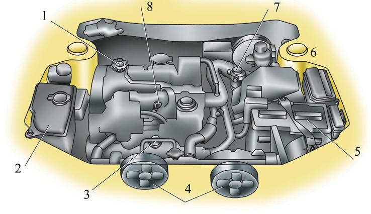 Вид моторного отсека (для двигателей модели 2С)